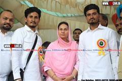 wallpaper.jpg
