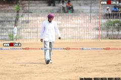 wallpaper.jpg