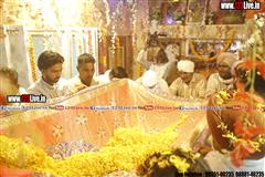 wallpaper.jpg