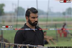 wallpaper.jpg