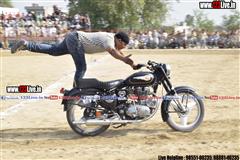 wallpaper.jpg