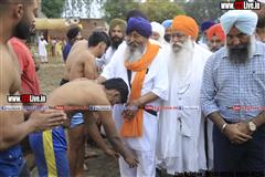 wallpaper.jpg