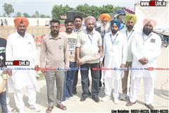 wallpaper.jpg