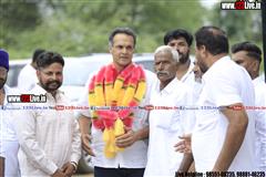 wallpaper.jpg