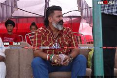 wallpaper.jpg